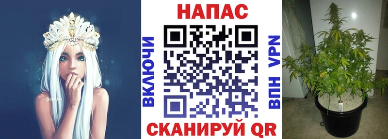 Купить COCAIN  Бошки Шишки  APVP  ГАШИШ  Галлюциногенные грибы  Меф  Елизово