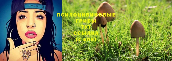Альфа ПВП Нефтегорск