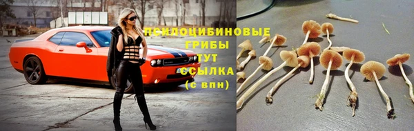Альфа ПВП Нефтегорск