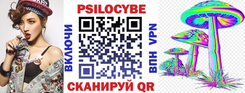 Псилоцибиновые грибы Psilocybine cubensis  Купить  Елизово 